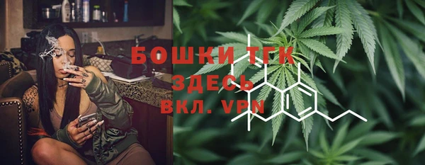 дмт Бородино