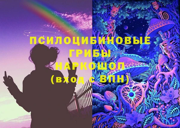 хмурый Бронницы