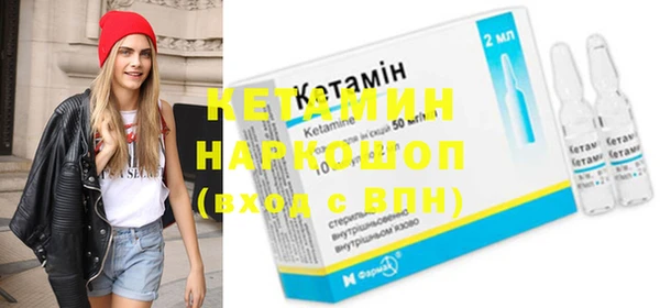 дмт Бородино
