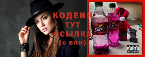 хмурый Бронницы