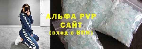 дмт Бородино