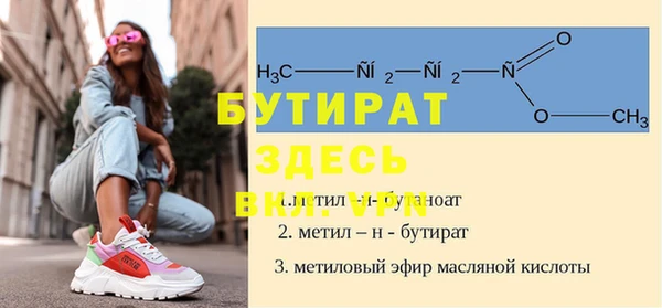 дмт Бородино