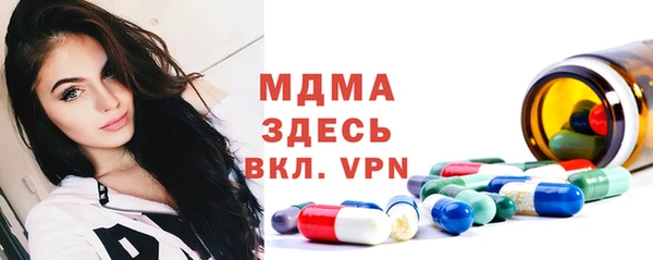 дмт Бородино