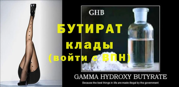 дмт Бородино