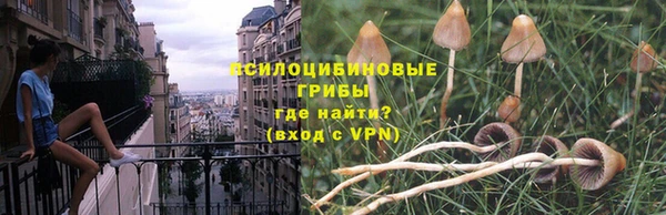 хмурый Бронницы