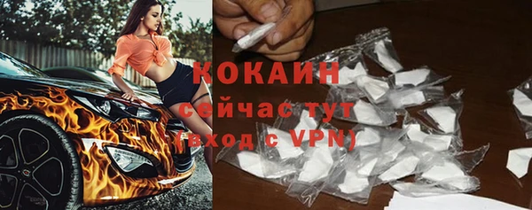 дмт Бородино