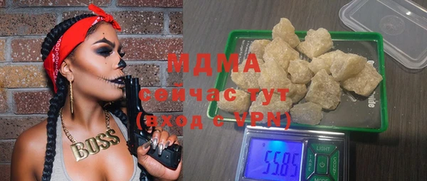 дмт Бородино