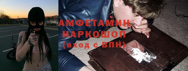 дмт Бородино