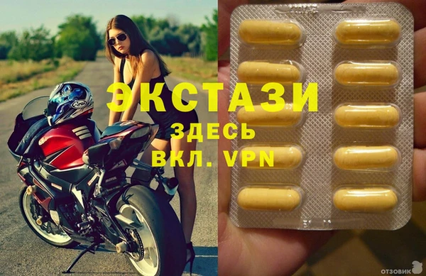 дмт Бородино