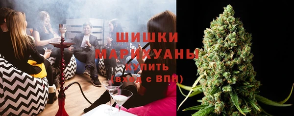хмурый Бронницы