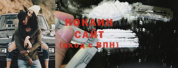 дмт Бородино