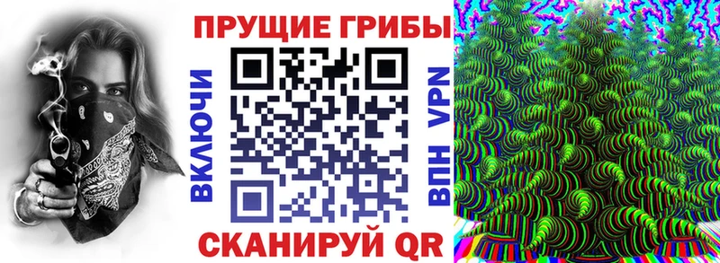 Галлюциногенные грибы GOLDEN TEACHER  наркотики  Прокопьевск 