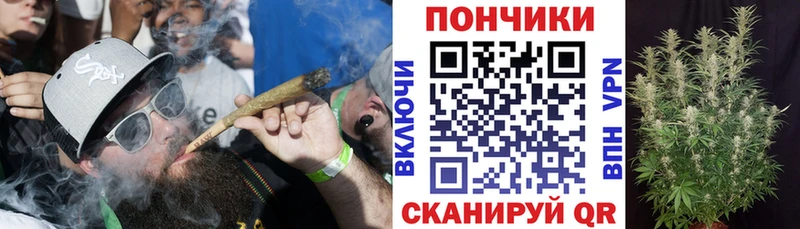 мега сайт  shop наркотические препараты  Марихуана Ganja  где найти наркотики  Прокопьевск 